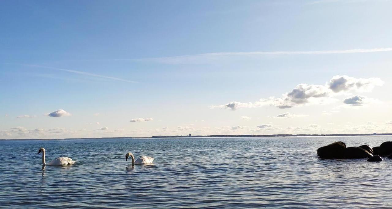 希尔克道夫Zum Wohlfuhlen Fur 4 Erwachsene +1 Kind, Schwimmbad Vor Der Tur Tiere Erlaubt公寓 外观 照片