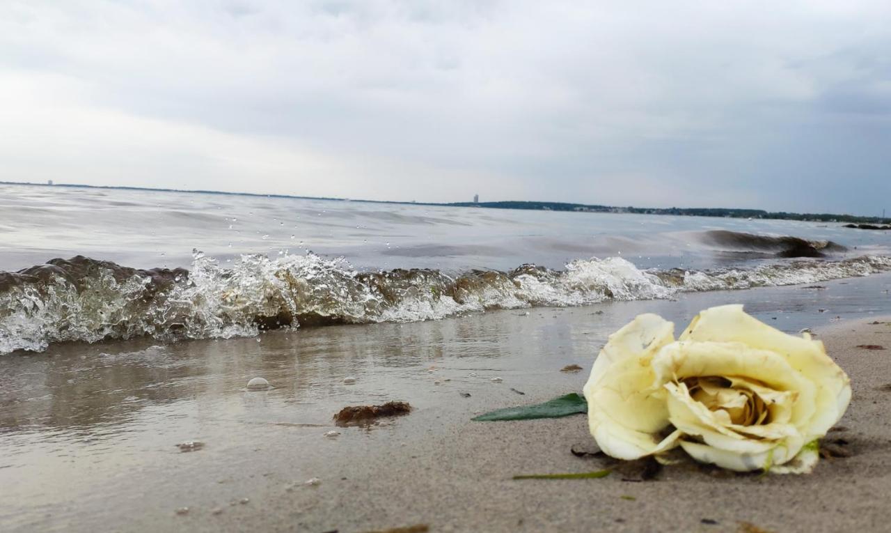 希尔克道夫Zum Wohlfuhlen Fur 4 Erwachsene +1 Kind, Schwimmbad Vor Der Tur Tiere Erlaubt公寓 外观 照片